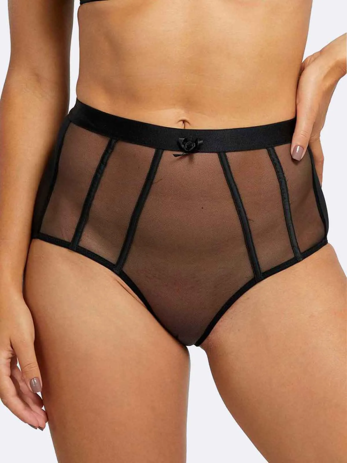 Regalia Colette Mesh Paneled High Waist Panties